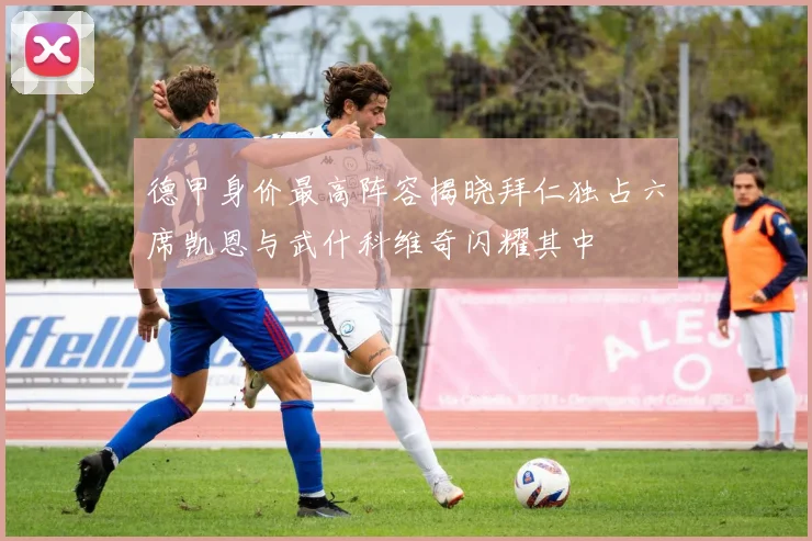 德甲身价最高阵容揭晓拜仁独占六席凯恩与武什科维奇闪耀其中